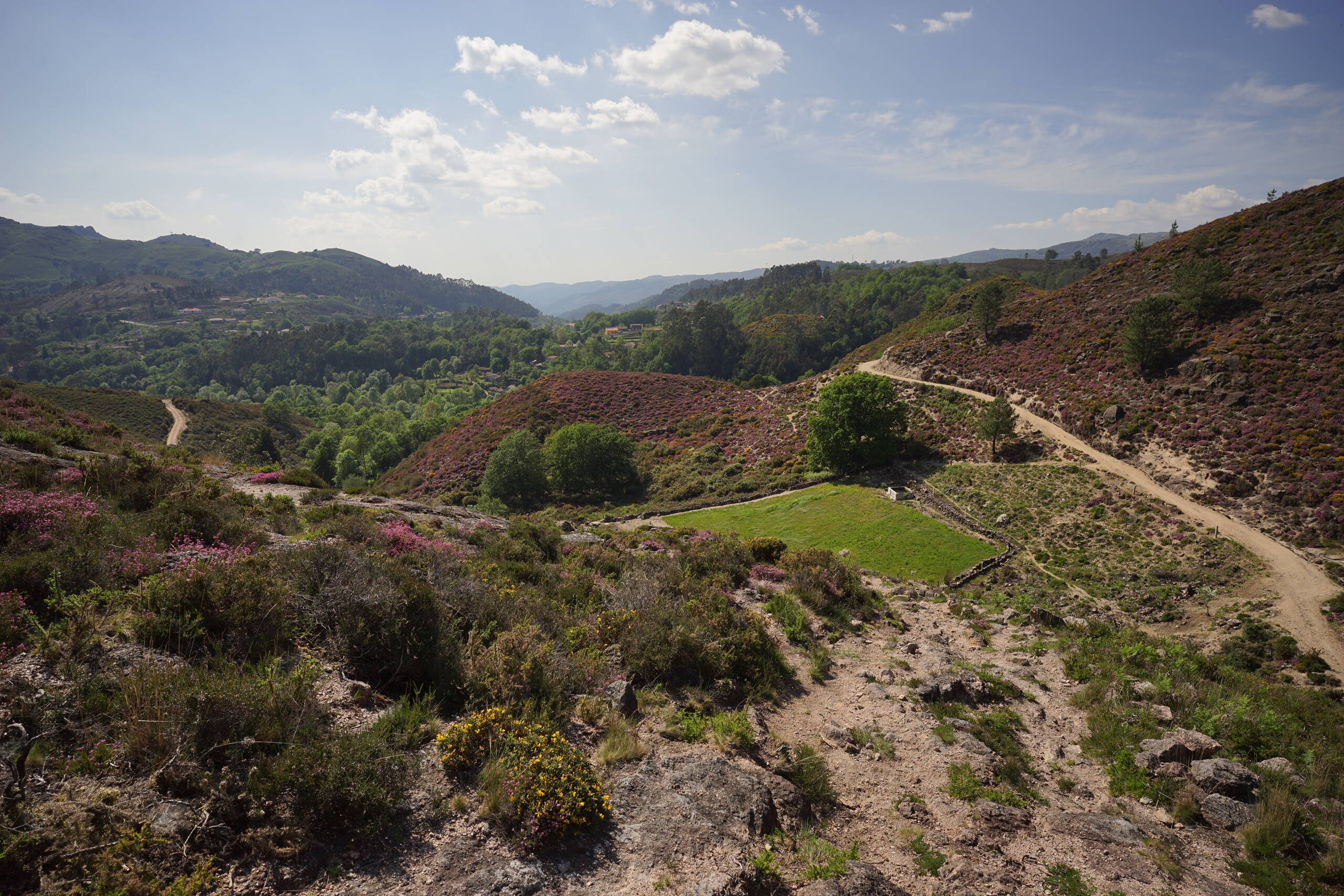 An image of landscape.